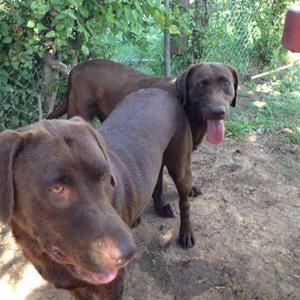 Meet your Posher, Terry